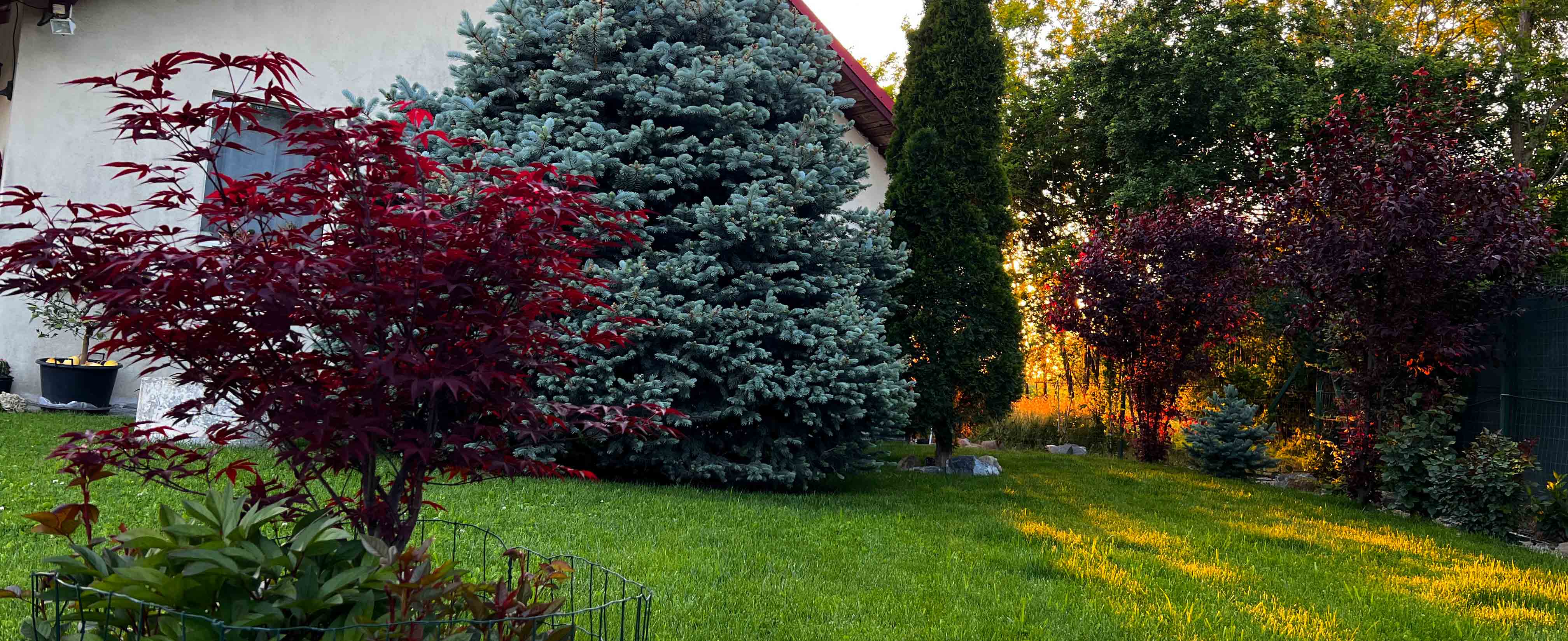 Gradina garden family